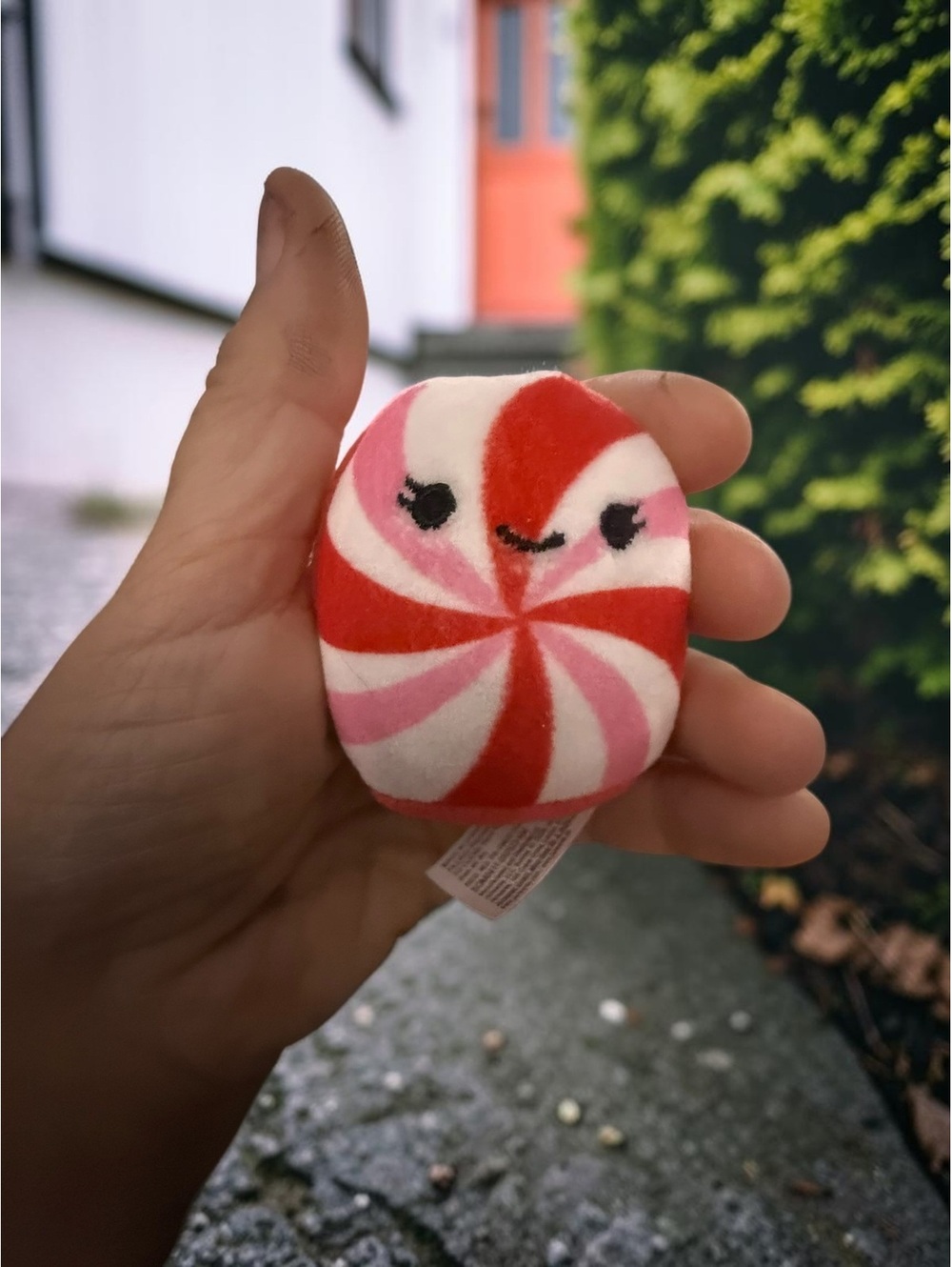 Squishmallows Dulce Peppermint Candy Holiday Mini Plush